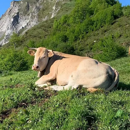 Hotel Le Tremplin Lourdes